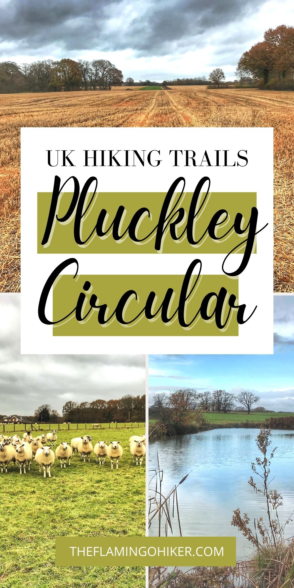 Pluckley Circular Walk: Hiking Around A Haunted Village - The Flamingo ...