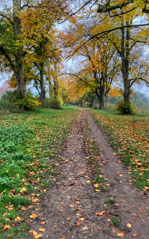 Audley End Walk - A Stroll Through The Estate - The Flamingo Hiker