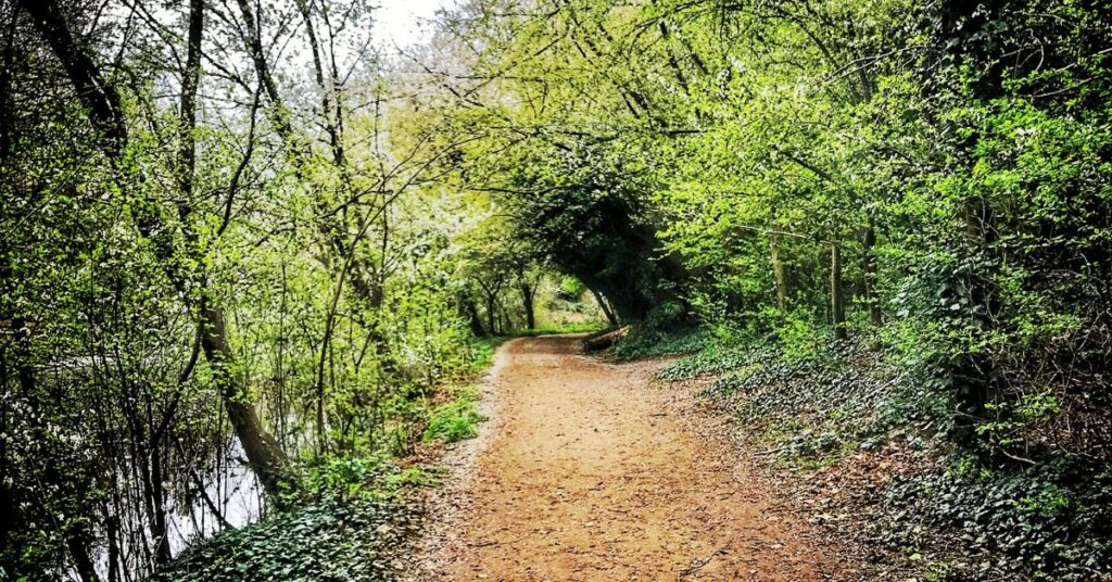 Brentford To Hanwell Canal Walk - Guide & Map - The Flamingo Hiker