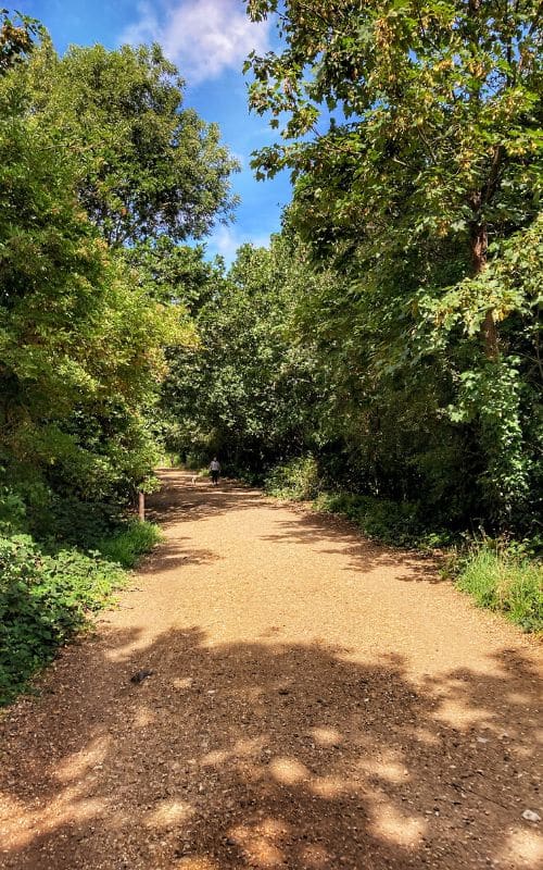 Parkland Walk In London - Complete Guide & Map - The Flamingo Hiker