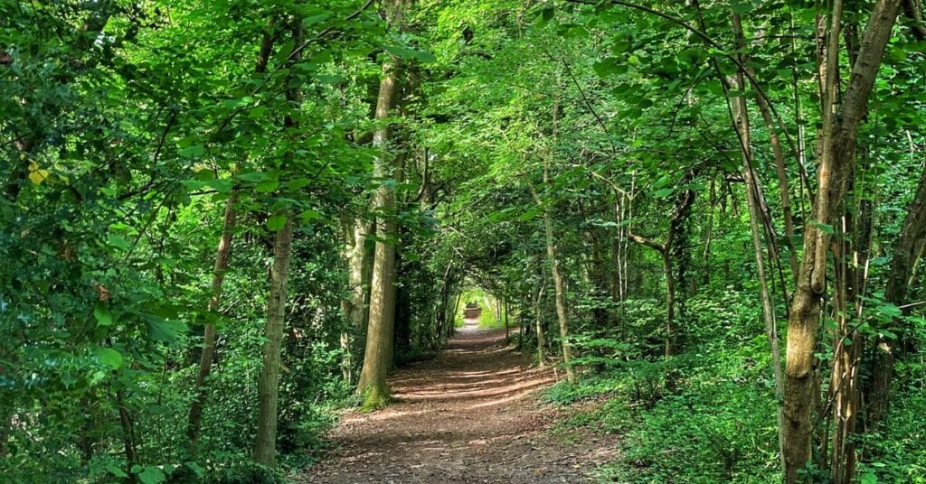 Cudham Circular Walk - Complete Guide & Map - The Flamingo Hiker