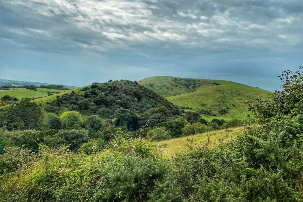 The Purbeck Ridgeway Walk - Corfe Castle To Coast - The Flamingo Hiker