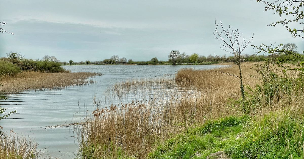 Tring Reservoir Walk - Complete Guide & Map - The Flamingo Hiker