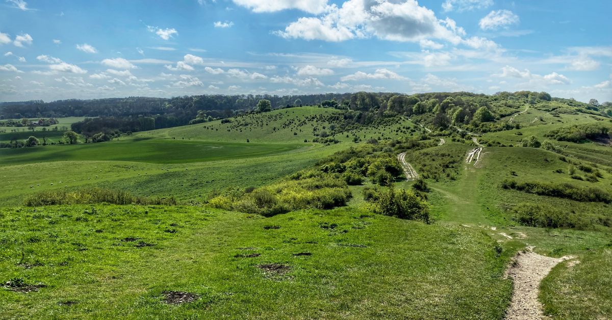 Ivinghoe Beacon Walk - Complete Guide & Map - The Flamingo Hiker