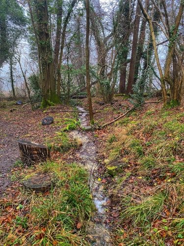 Bathampton Down Walk [Complete Guide & Free Map] - The Flamingo Hiker